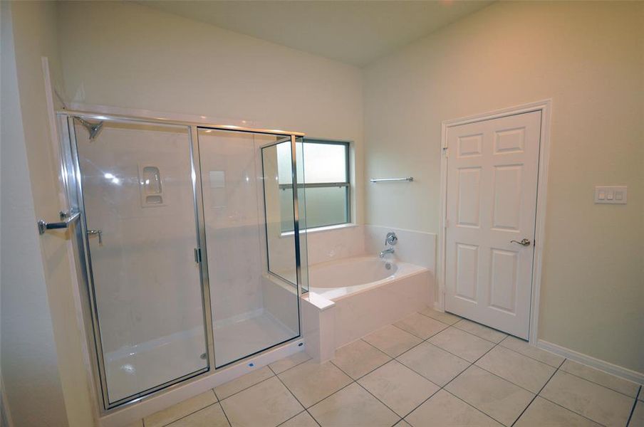 Master shower and soaking tub.