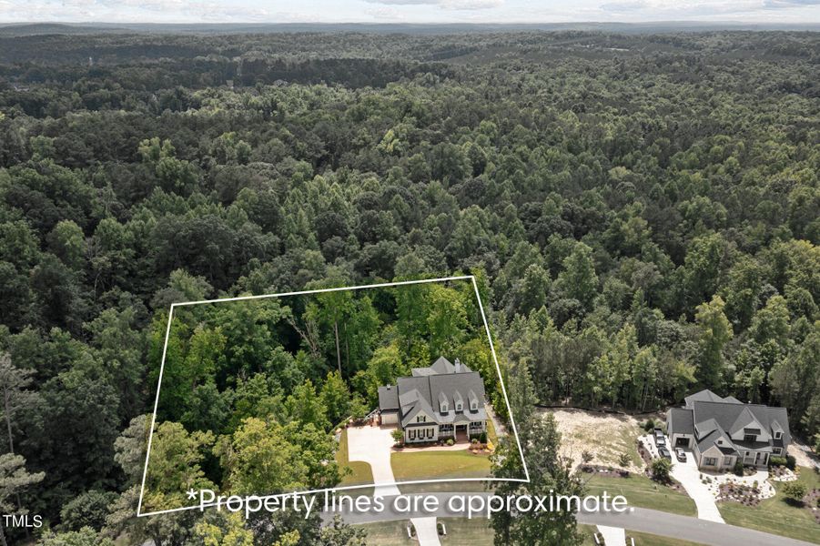 stonecrest property lines copy