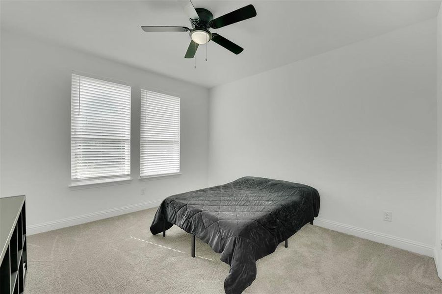 Carpeted bedroom with multiple windows and ceiling fan