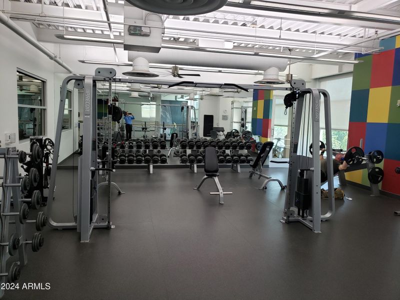 Free Weight Gym Area