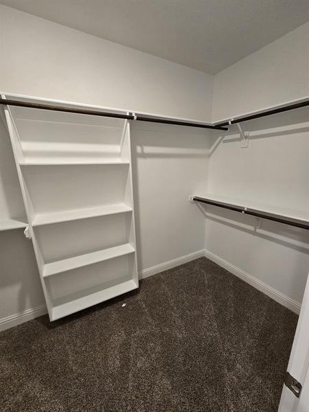 Walk in closet featuring carpet flooring