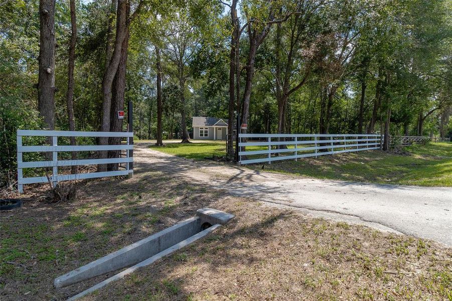 This photo shows a serene, tree-lined driveway leading to a quaint, beautiful home set back on a spacious lot, enclosed by a white fence, offering privacy and a touch of rural charm.