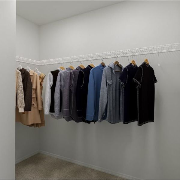 Owners Walk in Closet