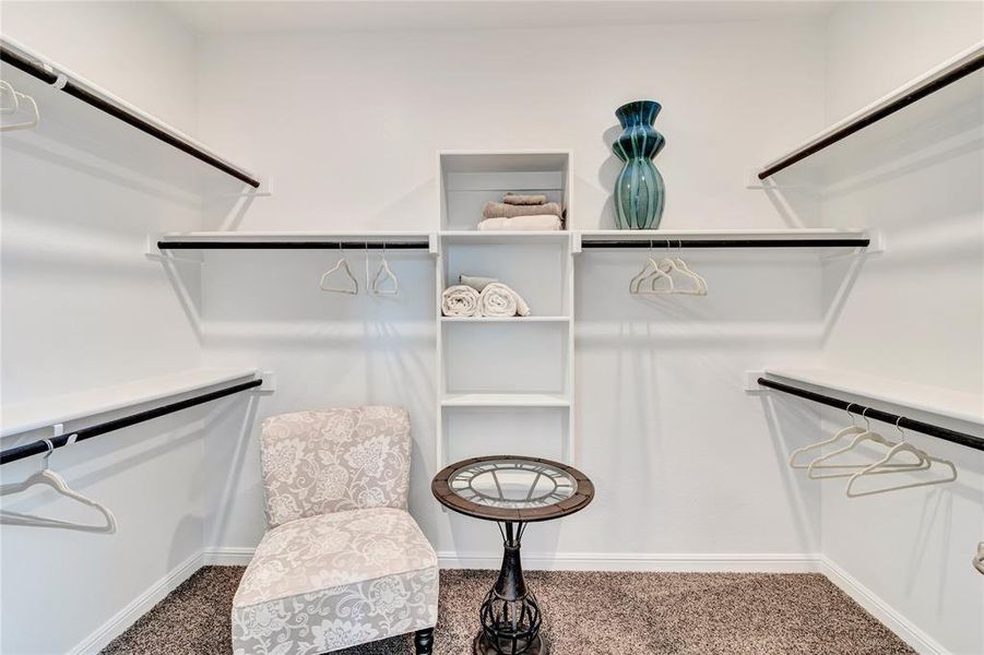 Walk in closet featuring carpet flooring