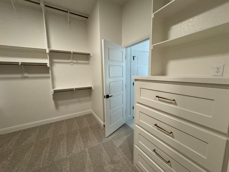 Walk in closet featuring light carpet