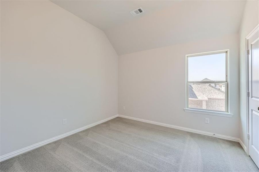 Spare room with carpet flooring, lofted ceiling, and a healthy amount of sunlight