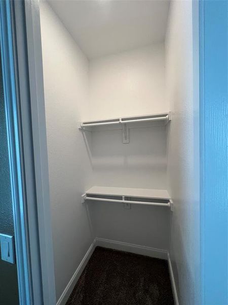 Walk in closet with carpet floors