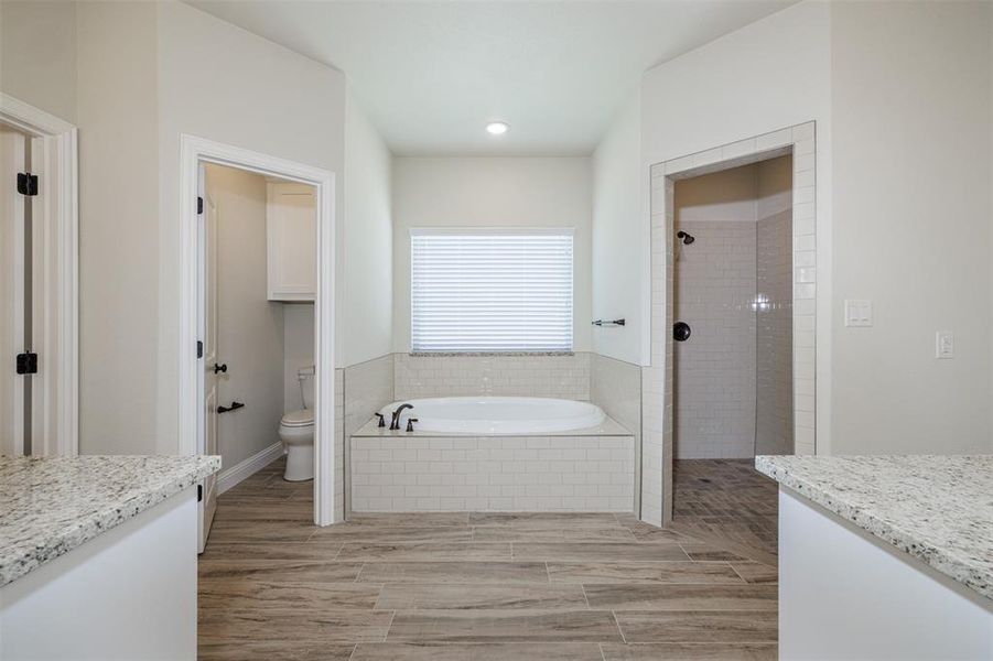 Full bathroom with wood-type flooring, vanity, toilet, and plus walk in shower