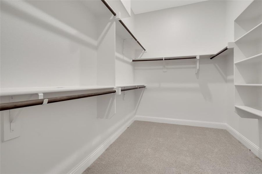 Spacious closet featuring carpet