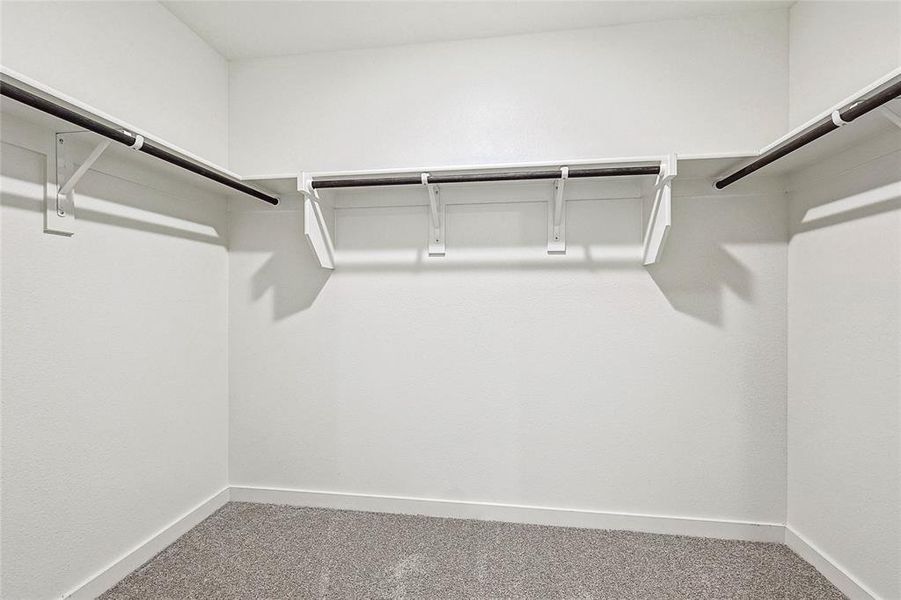 Spacious closet with carpet