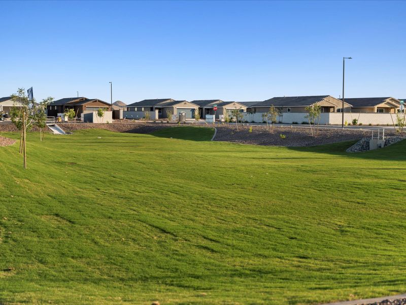 Green Lawn at Bella Vista Trails