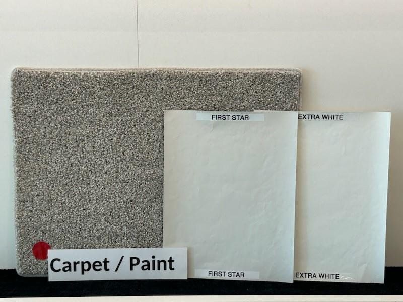 Carpet and Wall Colors