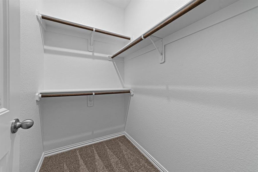 Spacious closet featuring carpet