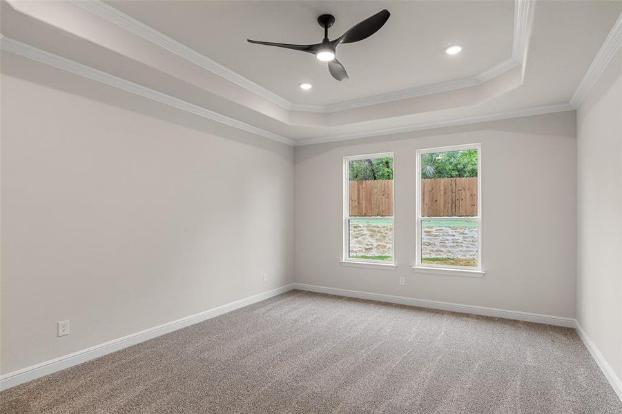 Carpeted spare room with ceiling fan, ornamental molding, and a tray ceiling