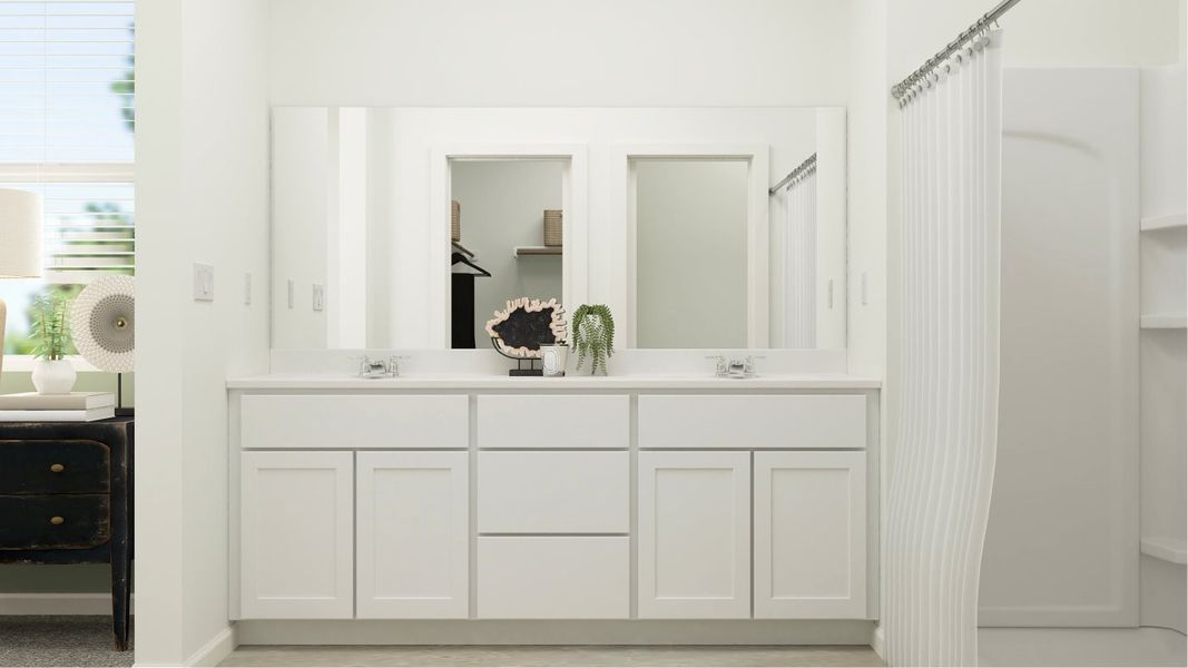 Owners bathroom sink