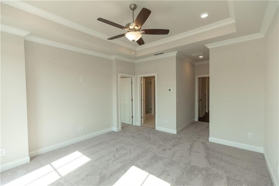 Tray ceilings in owners suite, large Walk-In closets