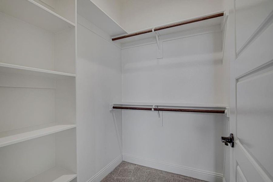 Walk in closet featuring carpet floors