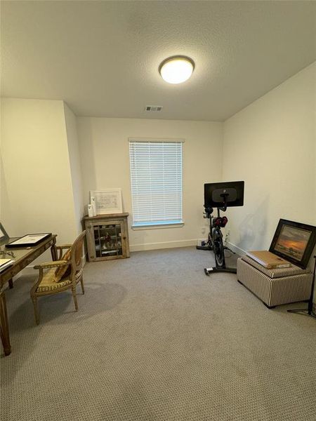 Sitting room featuring carpet floors and a textured ceiling