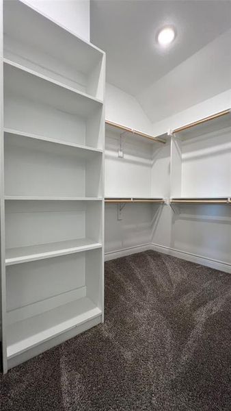 Spacious closet featuring vaulted ceiling and carpet