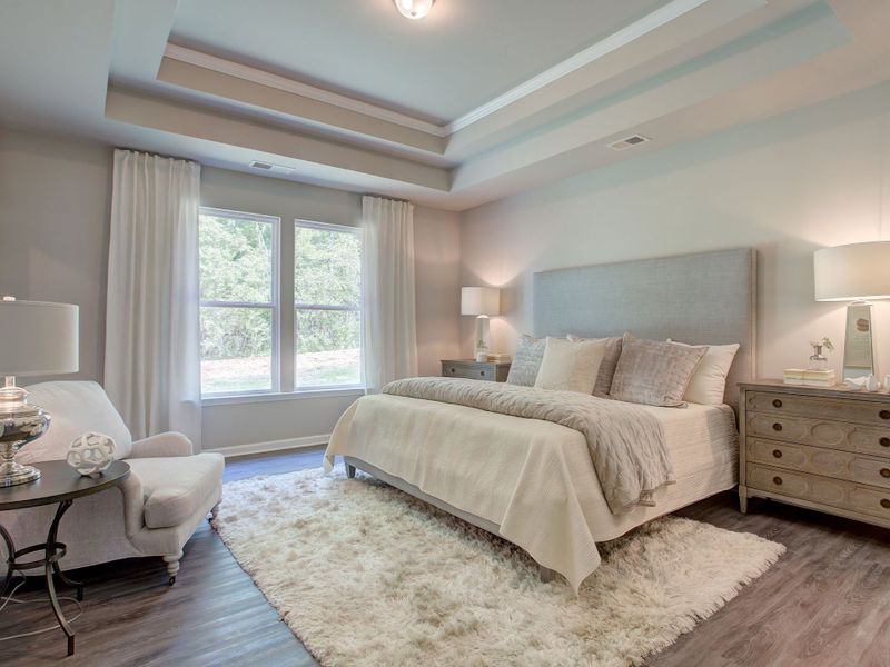 Spacious primary bedroom with trey ceilings