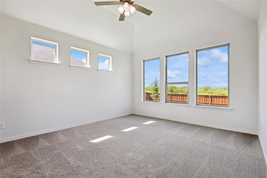 Carpeted spare room featuring ceiling fan, lofted ceiling, and a wealth of natural light