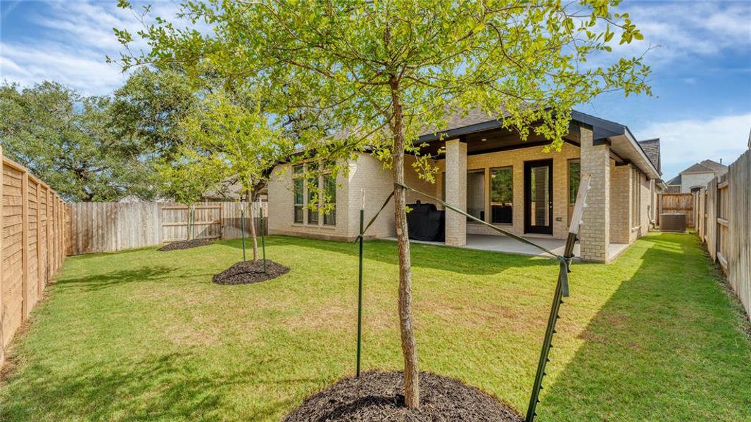 Landscaped Backyard with automatic sprinklers