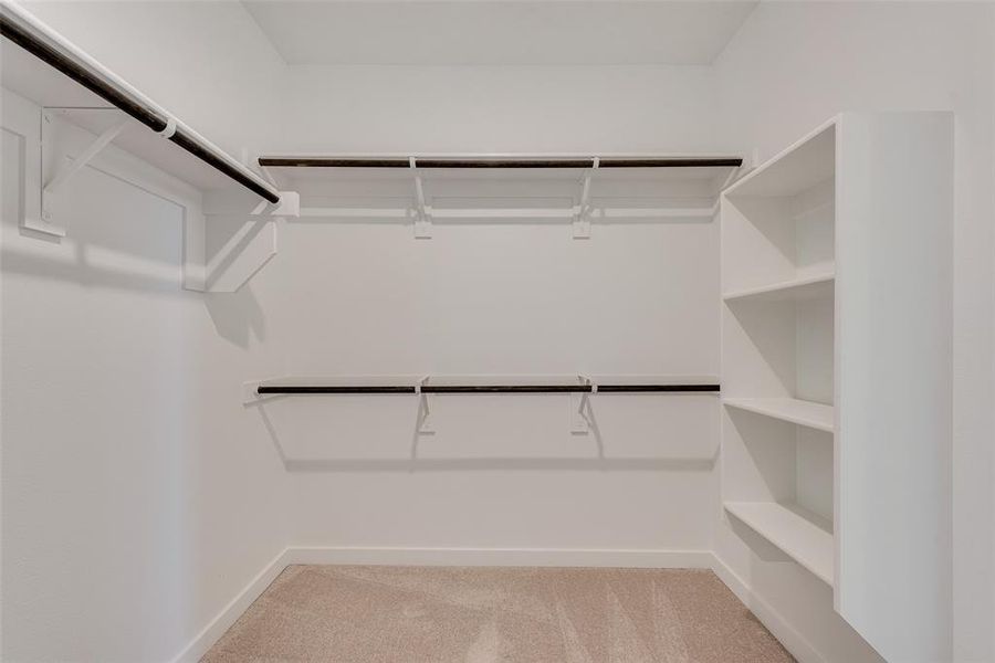 Walk in closet with light colored carpet