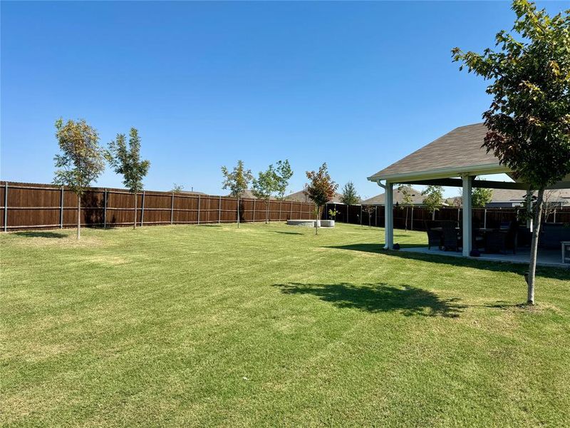 Incredible home with fantastic yard! 15 trees in the backyard alone! All have bubbler irrigation.