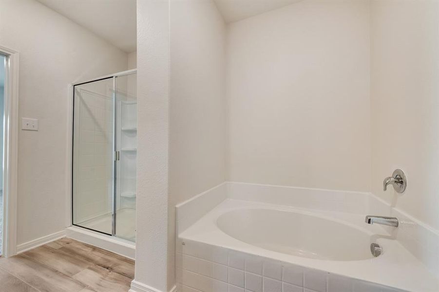 Bathroom with separate shower and tub and hardwood / wood-style flooring