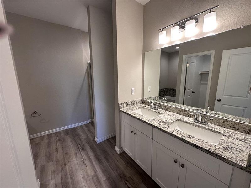 Bathroom with hardwood / wood-style floors and vanity