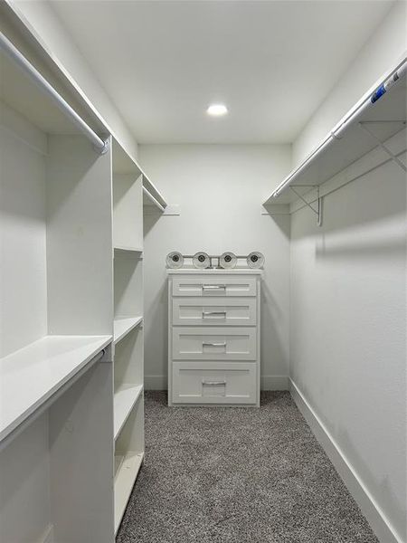 Spacious closet with dark carpet