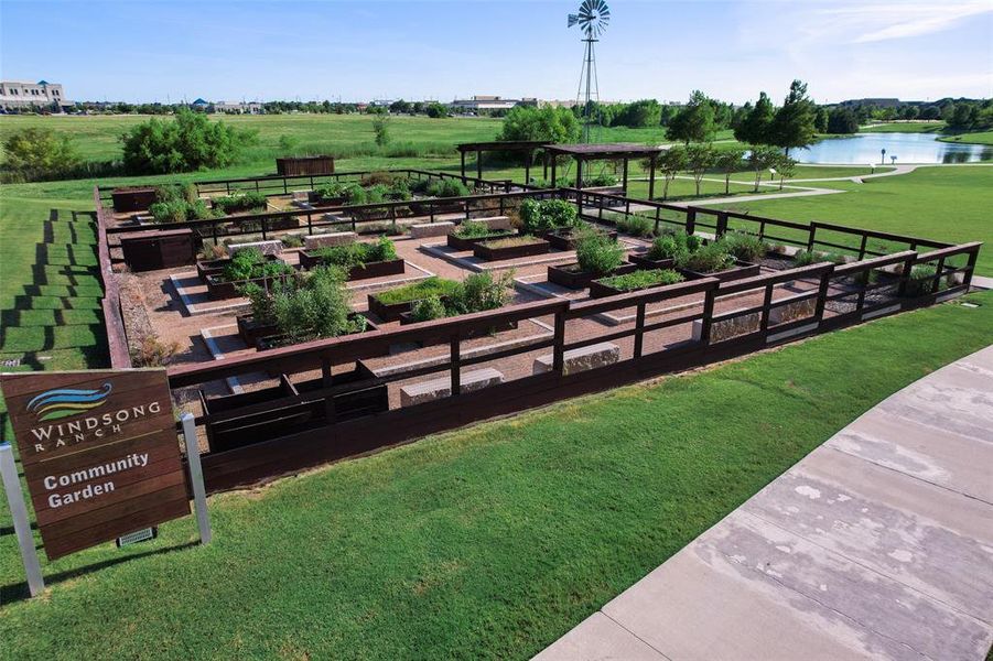 Community Garden