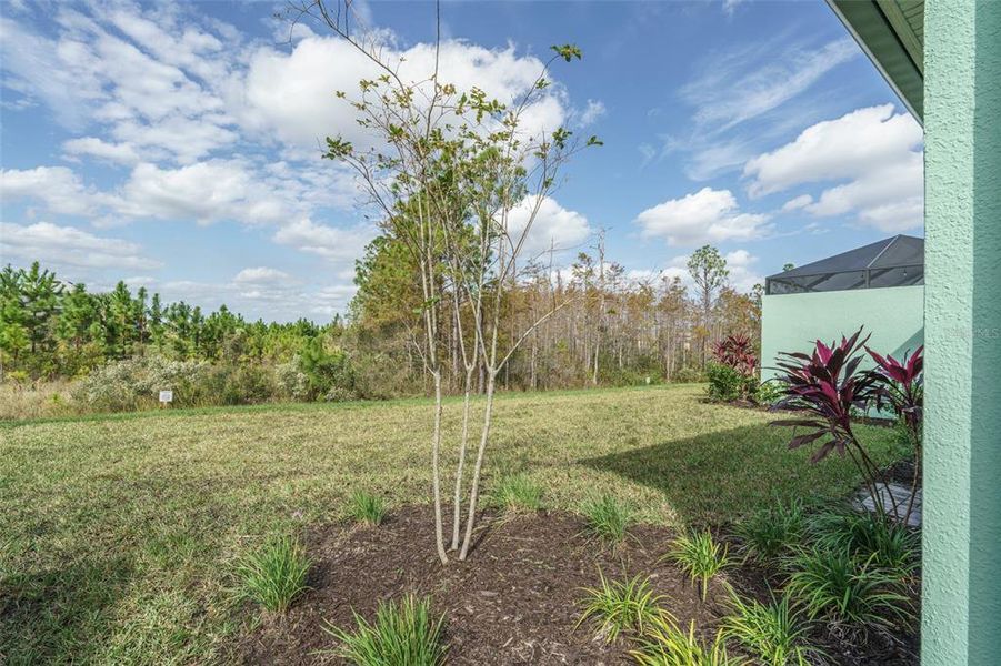 Very private lot with the preserve as your backdrop.