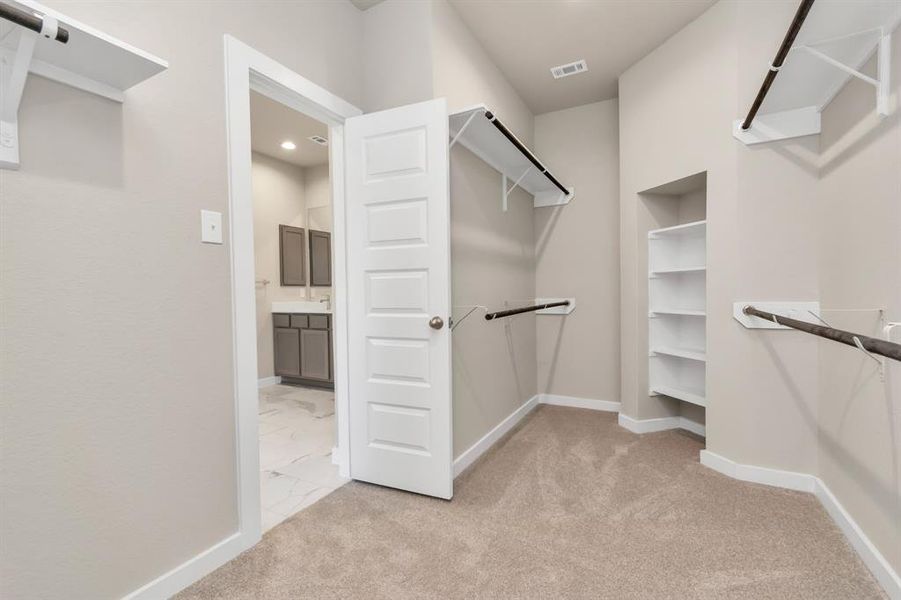 Experience luxury in this spacious walk-in closet with high ceilings and plush carpet. Warm paint tones, built-in shelving, and dark finishes create a contemporary and functional retreat. Sample photo of completed home with similar floor plan. As-built interior colors and selections may vary.