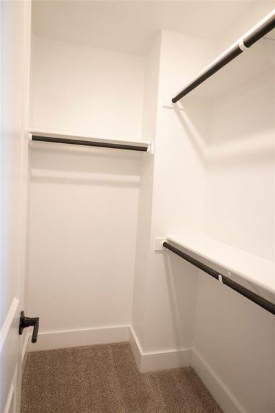 Walk in closet with carpet flooring