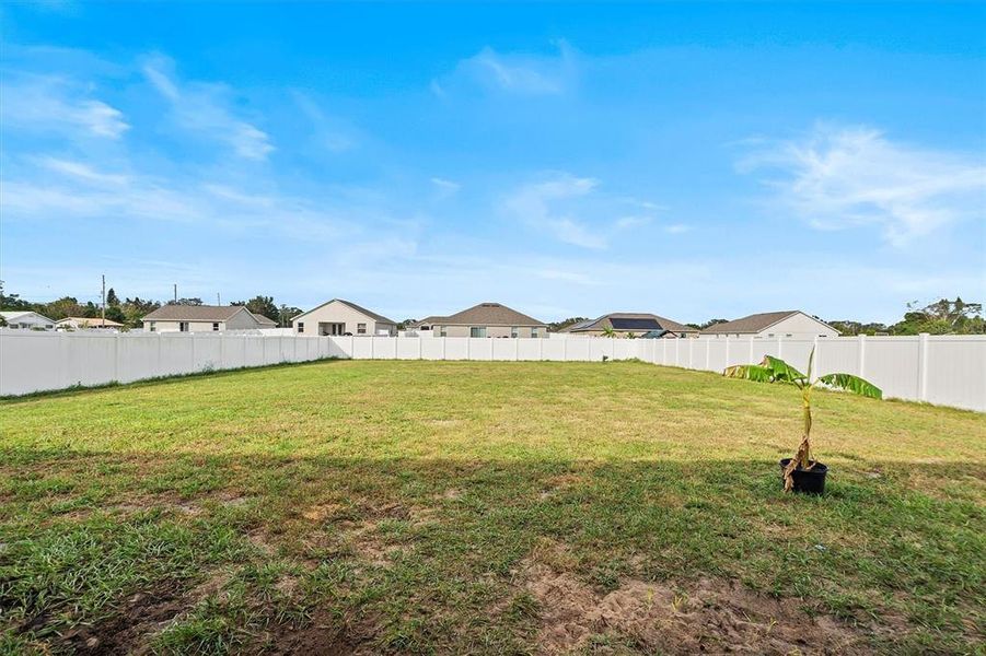 Giant backyard