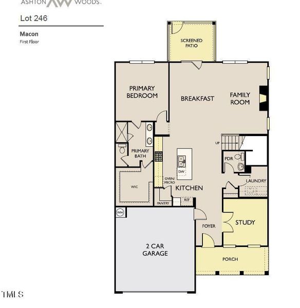 CMSF 246 1st floor plan