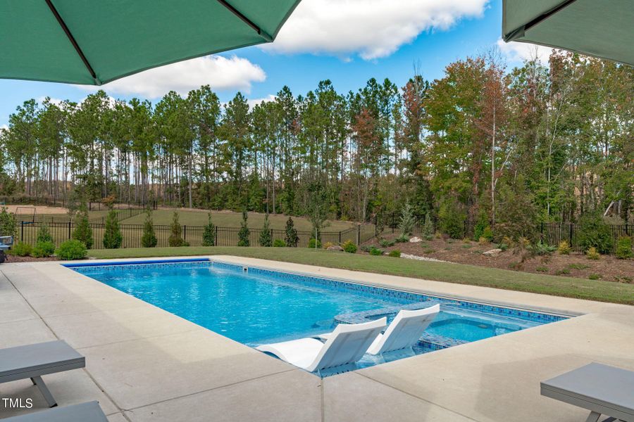 Patio and Pool