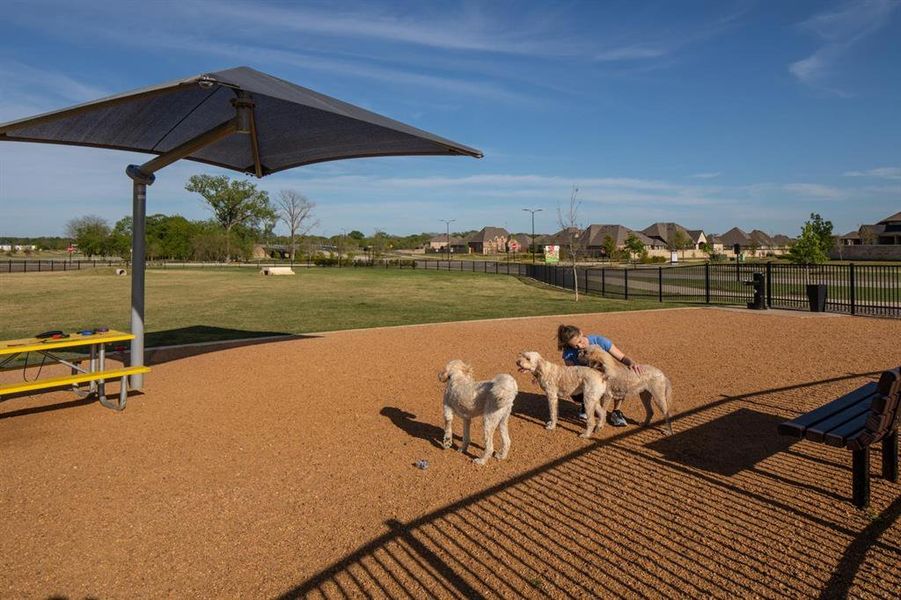 Old Joe Dog Park at Trinity Falls