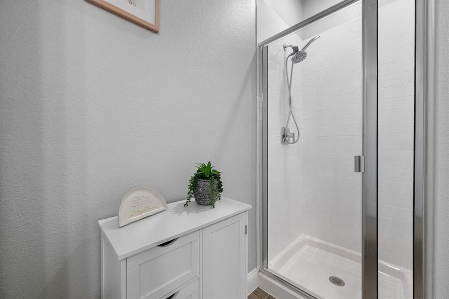 Down stairs bathroom with walk in shower