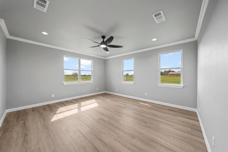Empty room featuring ornamental molding, light wood-type flooring, ceiling fan, and a wealth of natural light