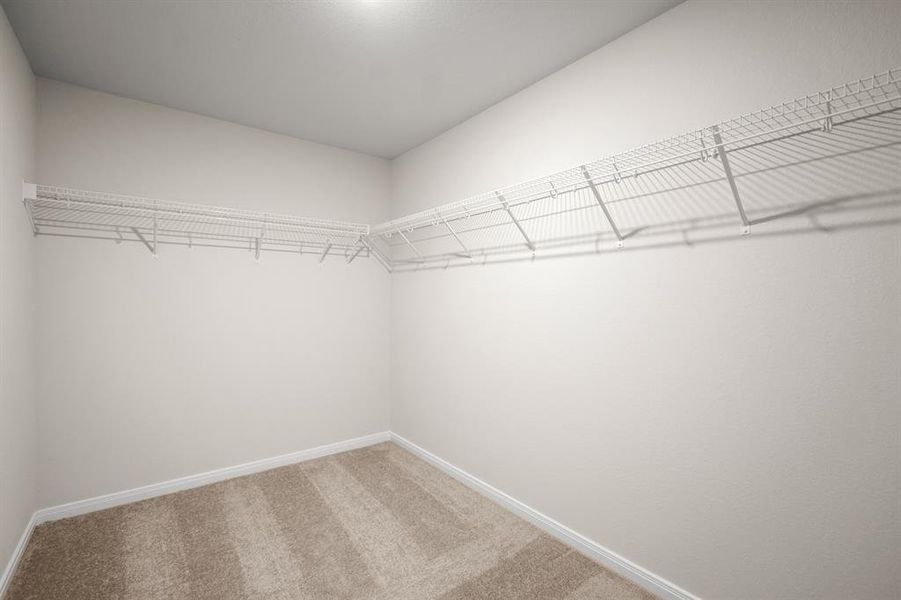 Carpeted walk-in closet.