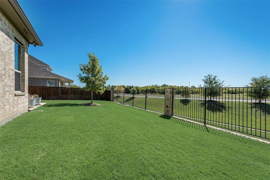 View of back yard