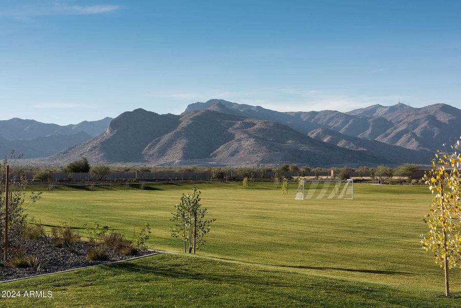 WHITE TANK MOUNTAINS