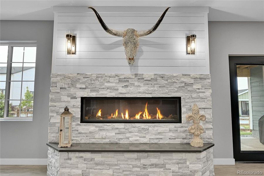 $10K fireplace. Heats the whole house. WOW!