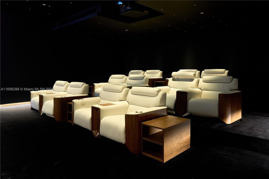 Amenities- Small Cinema