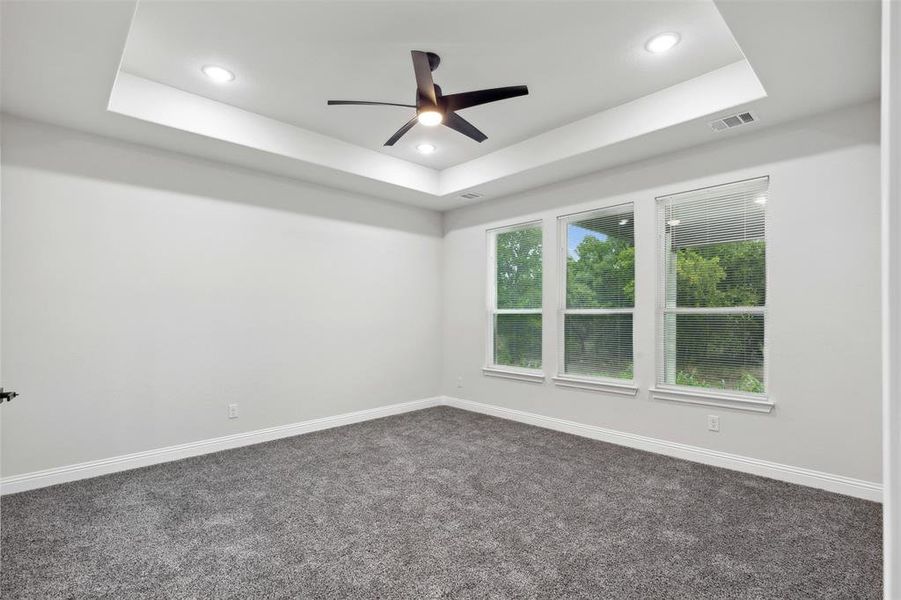 Carpeted spare room featuring a raised ceiling and ceiling fan