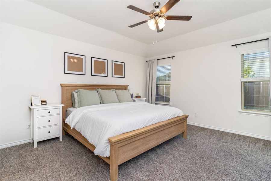 Carpeted bedroom featuring ceiling fan and multiple windows