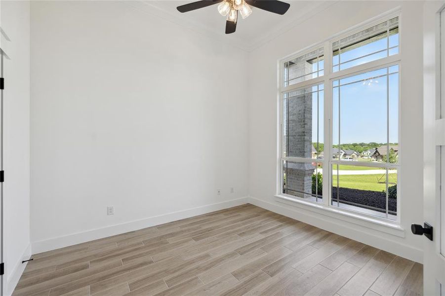 Unfurnished room with a wealth of natural light, light hardwood / wood-style flooring, ceiling fan, and crown molding