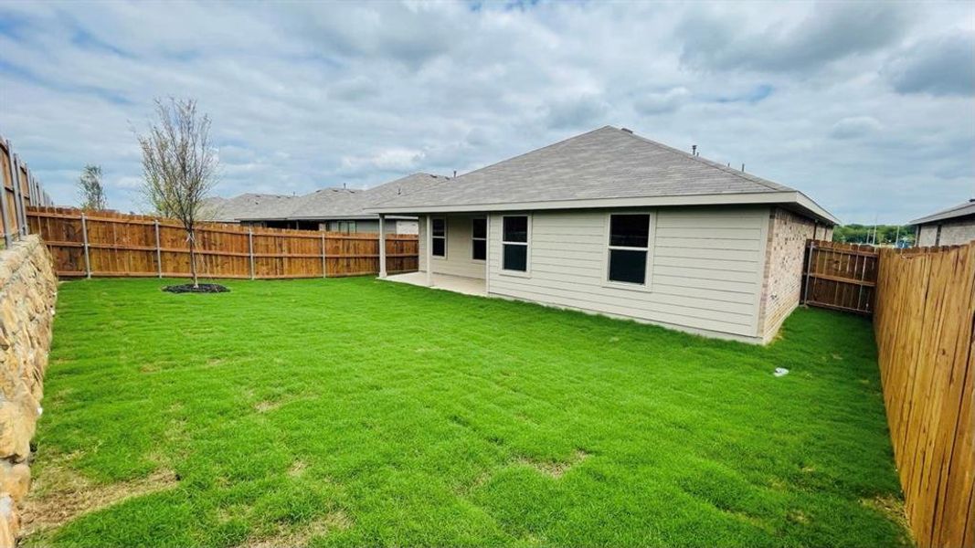 Rear Elevation & Backyard